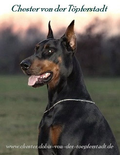 Chester